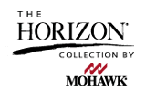 horizon-logo